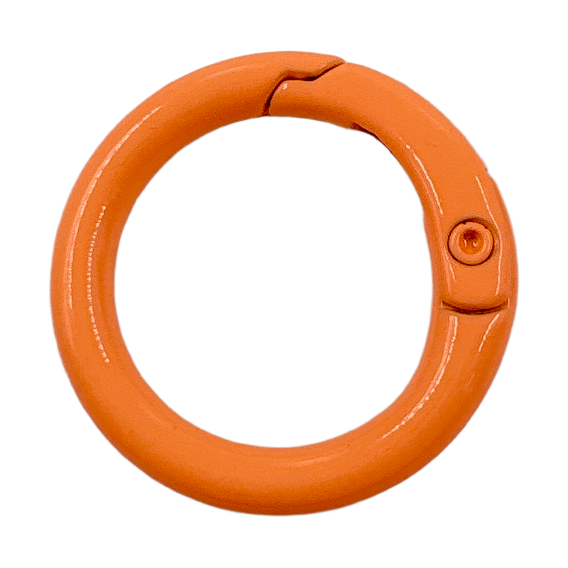 Spring O Ring Keyring